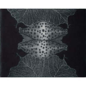  Eden- muszla mezzotinta 11,5x14 cm 2019 