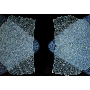  Dezderata III olej 70x100 cm 2021 