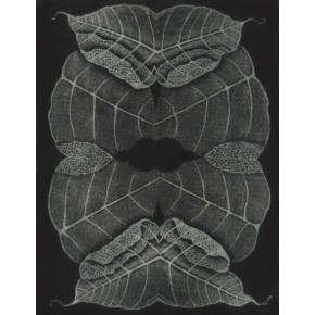  Lacrimosa mezzotinta 16x12 cm 2022 