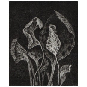  Bezsenne noce IV mezzotinta 9,5x8 cm 2025 