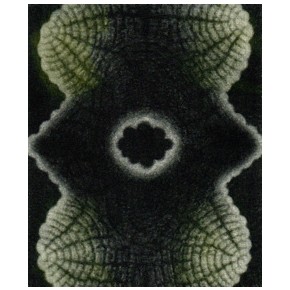  Dezyderata II mezzotinta 10x8 cm 2025 