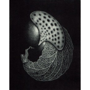  Dezyderata IV mezzotinta 16x12,5 cm 2025 