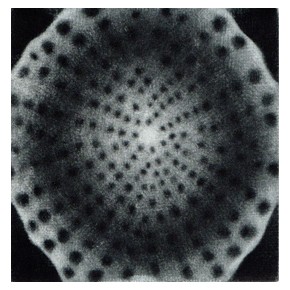  Dezyderata VI mezzotinta 10x9,5 cm 2026 