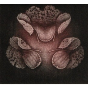  Eden -wiecz&oacute;r mezzotinta  9x9,5 cm 2024 