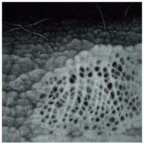  Eden -zima mezzotinta  9,5x9,5 cm 2026 