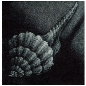  Eden-azyl mezzotinta 9,5x9,5 cm 2025 